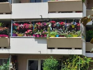 Wohnung mieten mit oder ohne Balkon: 1