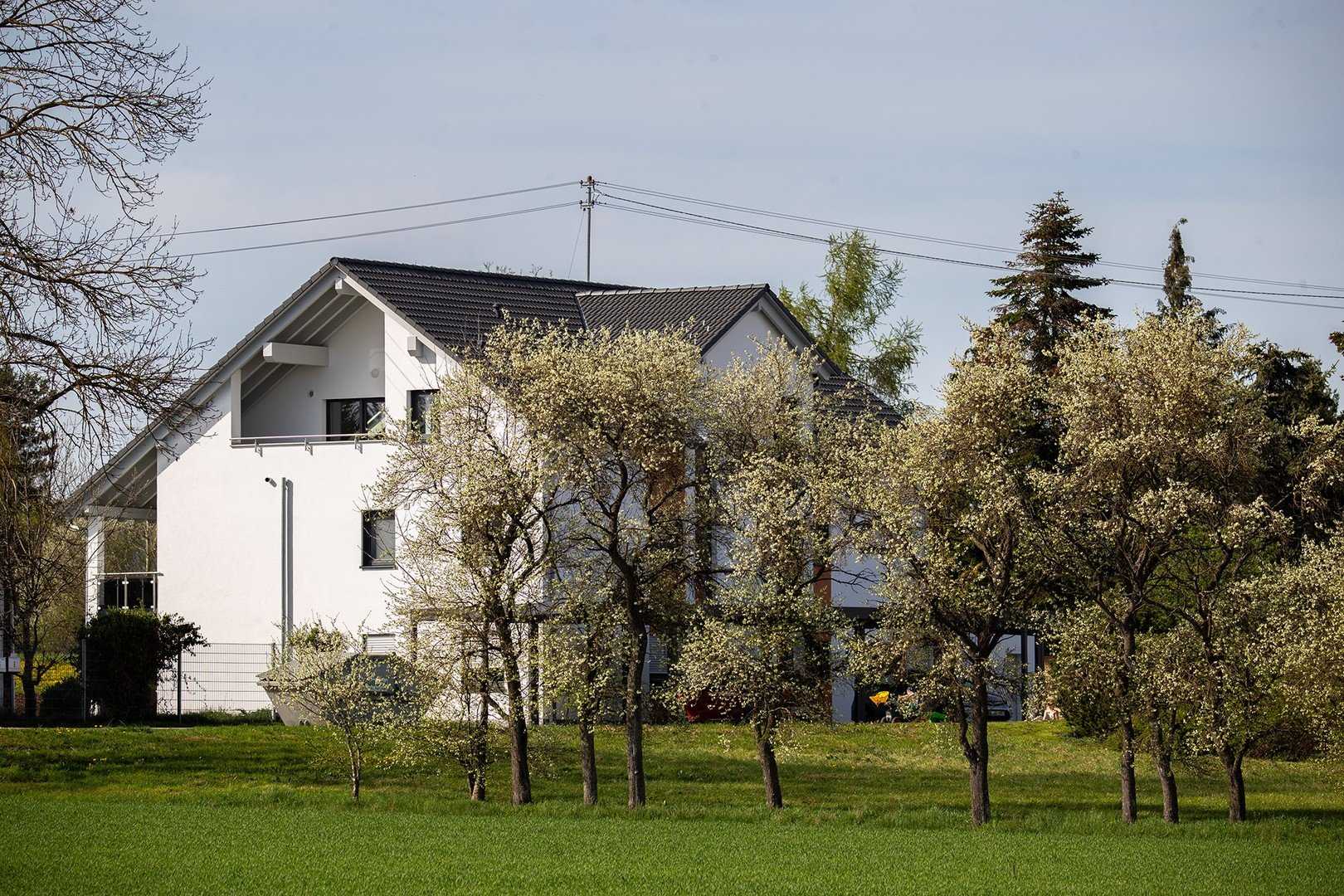 Bild der Immobilie in Bad Dürrheim Nr. 2