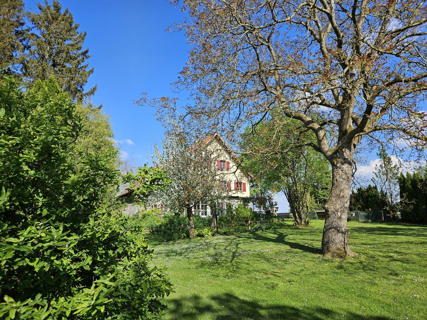 Bild der Immobilie in Niederrieden Nr. 2