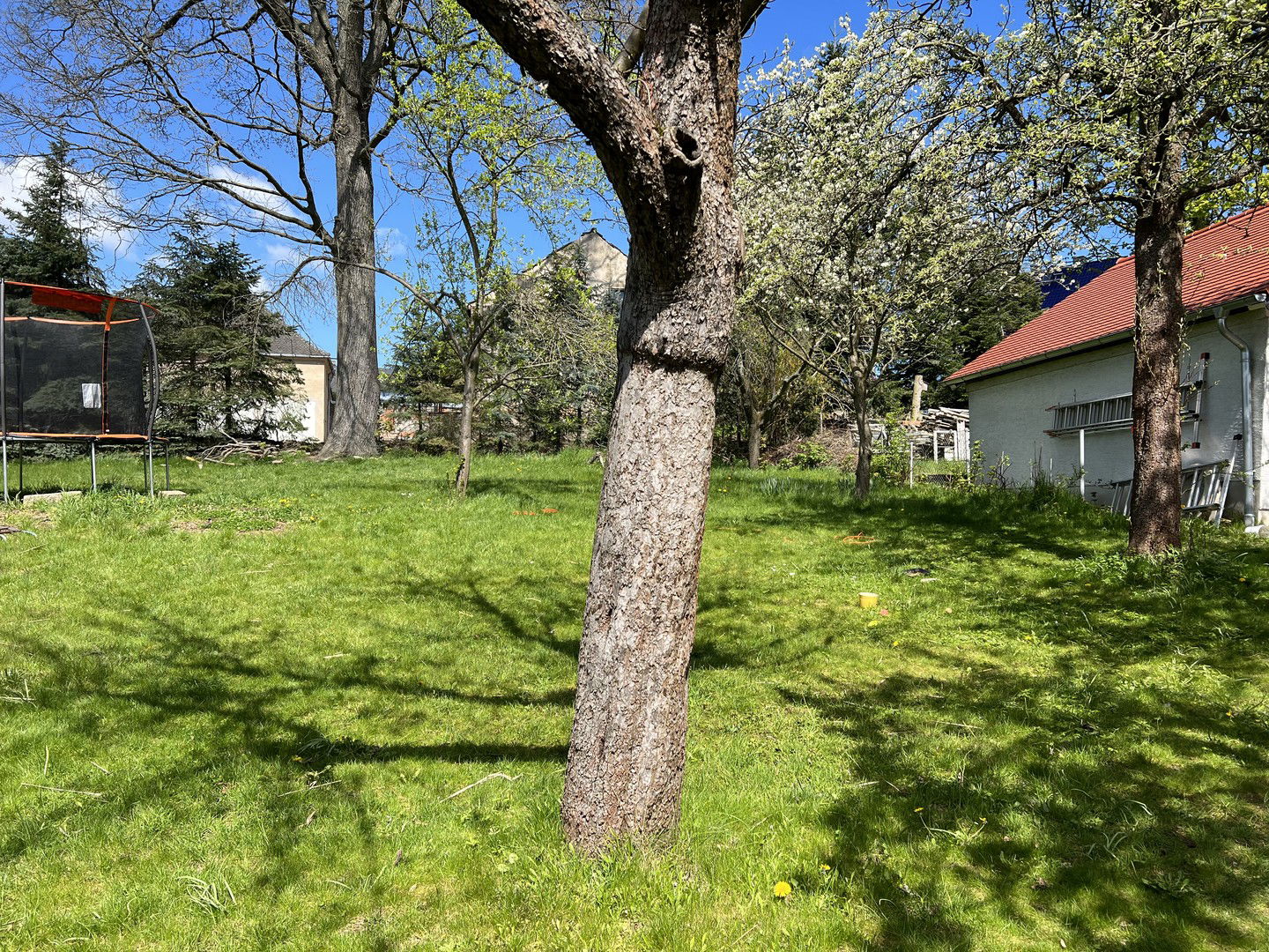 Bild der Immobilie in Großröhrsdorf Nr. 16