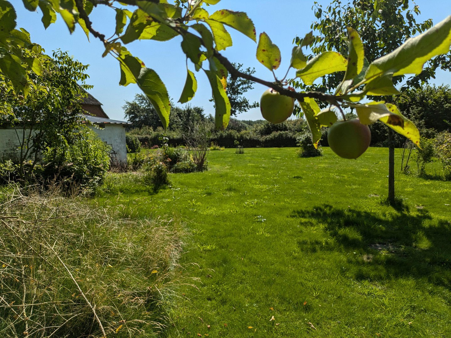 Bild der Immobilie in Mittelangeln Nr. 27