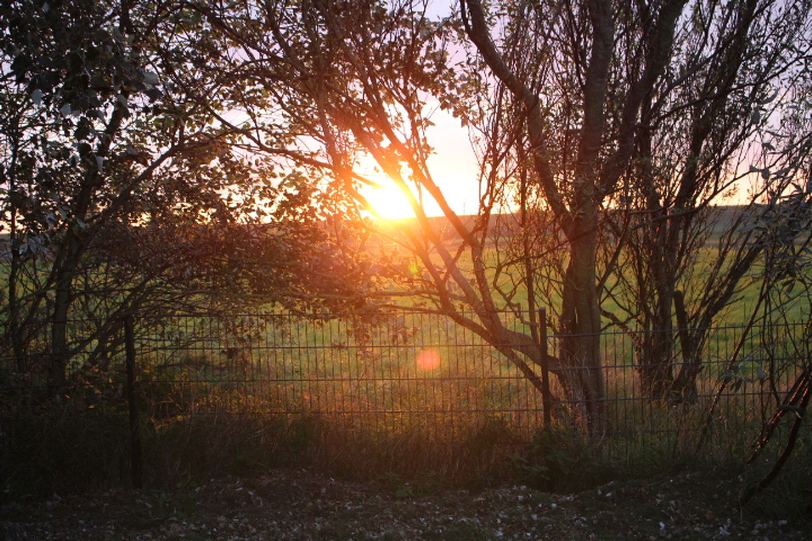 Bild der Immobilie in Westerhever Nr. 22