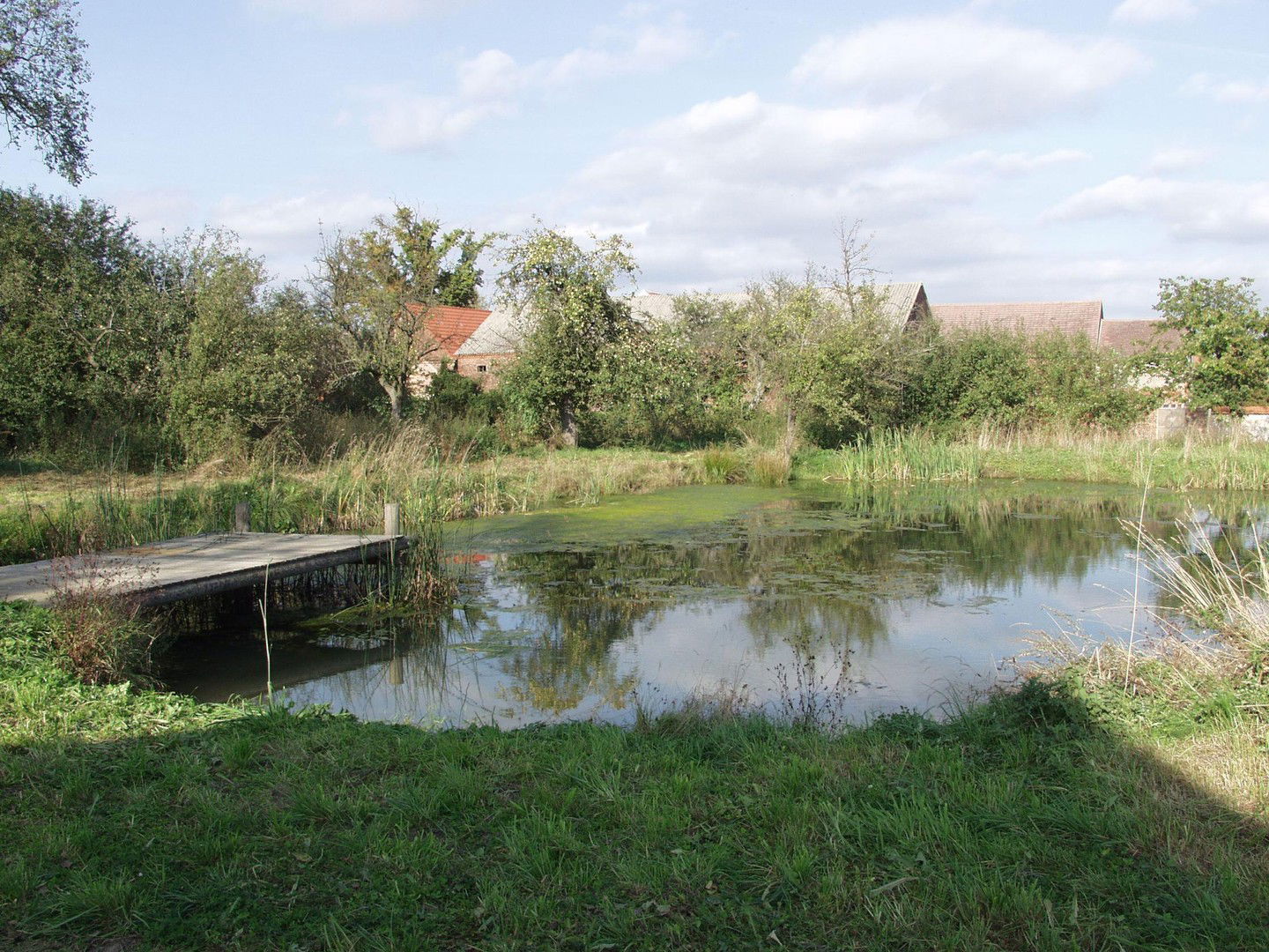 Bild der Immobilie in Niedergörsdorf Nr. 28