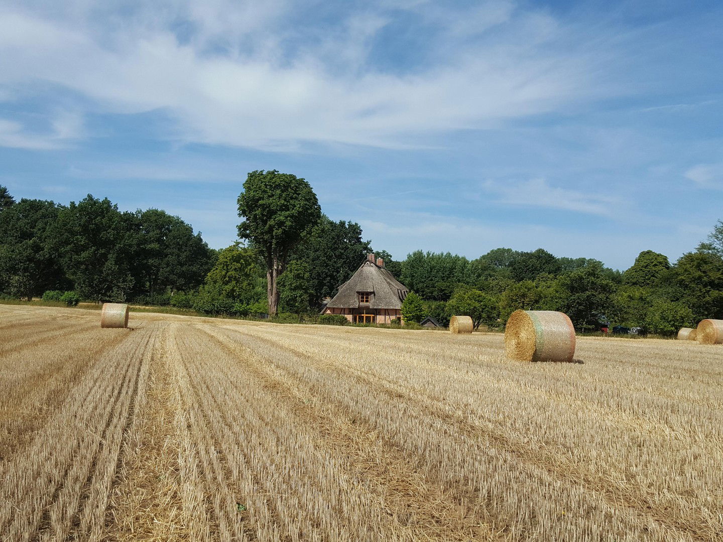 Bild der Immobilie in Felde Nr. 46