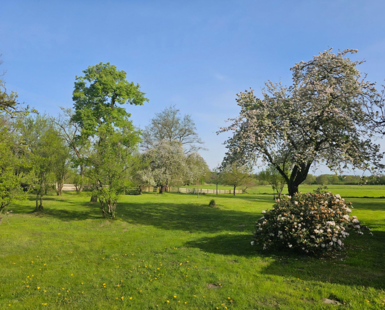 Bild der Immobilie in Felde Nr. 37