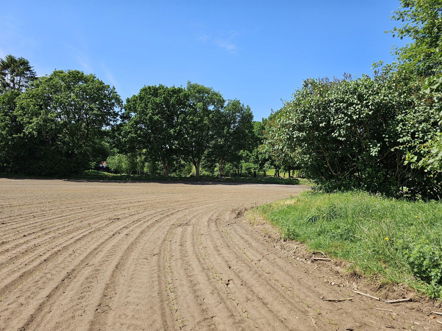 Bild der Immobilie in Felde Nr. 44