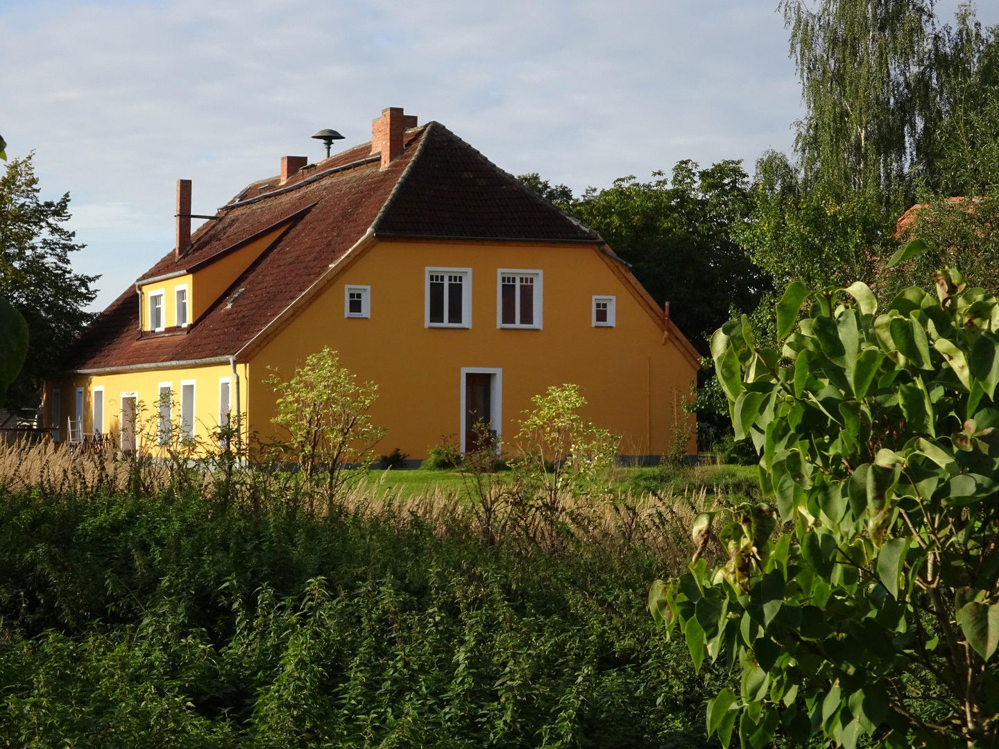 Bild der Immobilie in Friedland Nr. 1