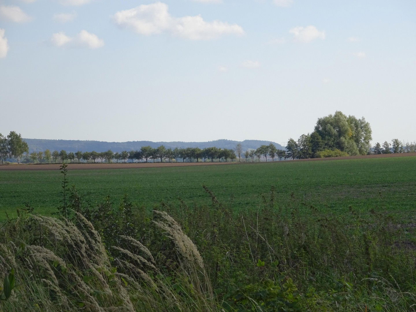 Bild der Immobilie in Friedland Nr. 2