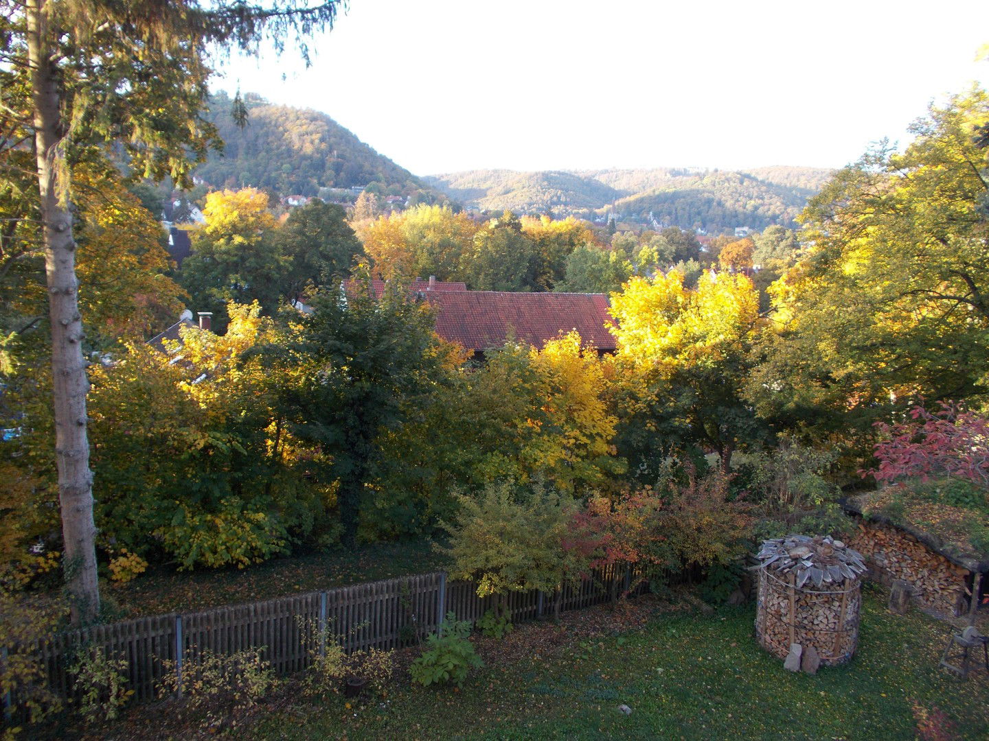 Bild der Immobilie in Bad Harzburg Nr. 31