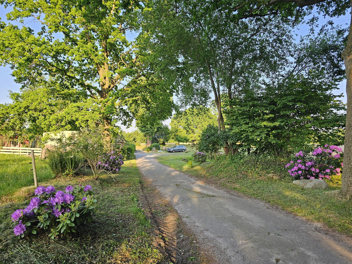 Bild der Immobilie in Felde Nr. 38