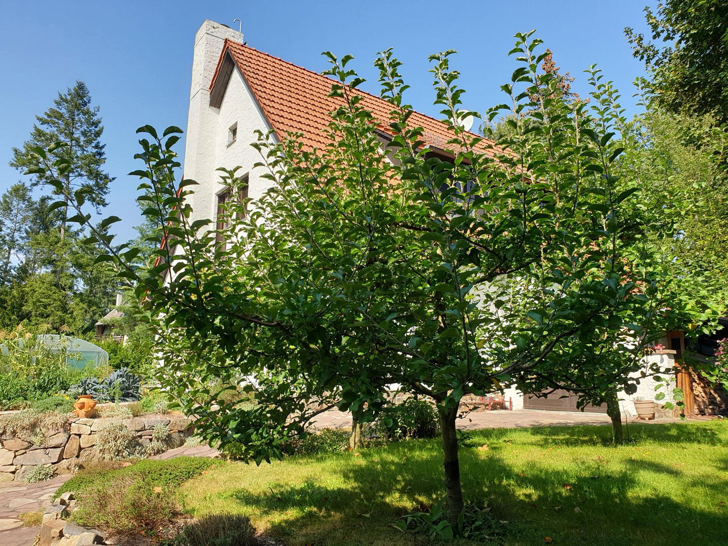 Bild der Immobilie in Kleinmachnow Nr. 4