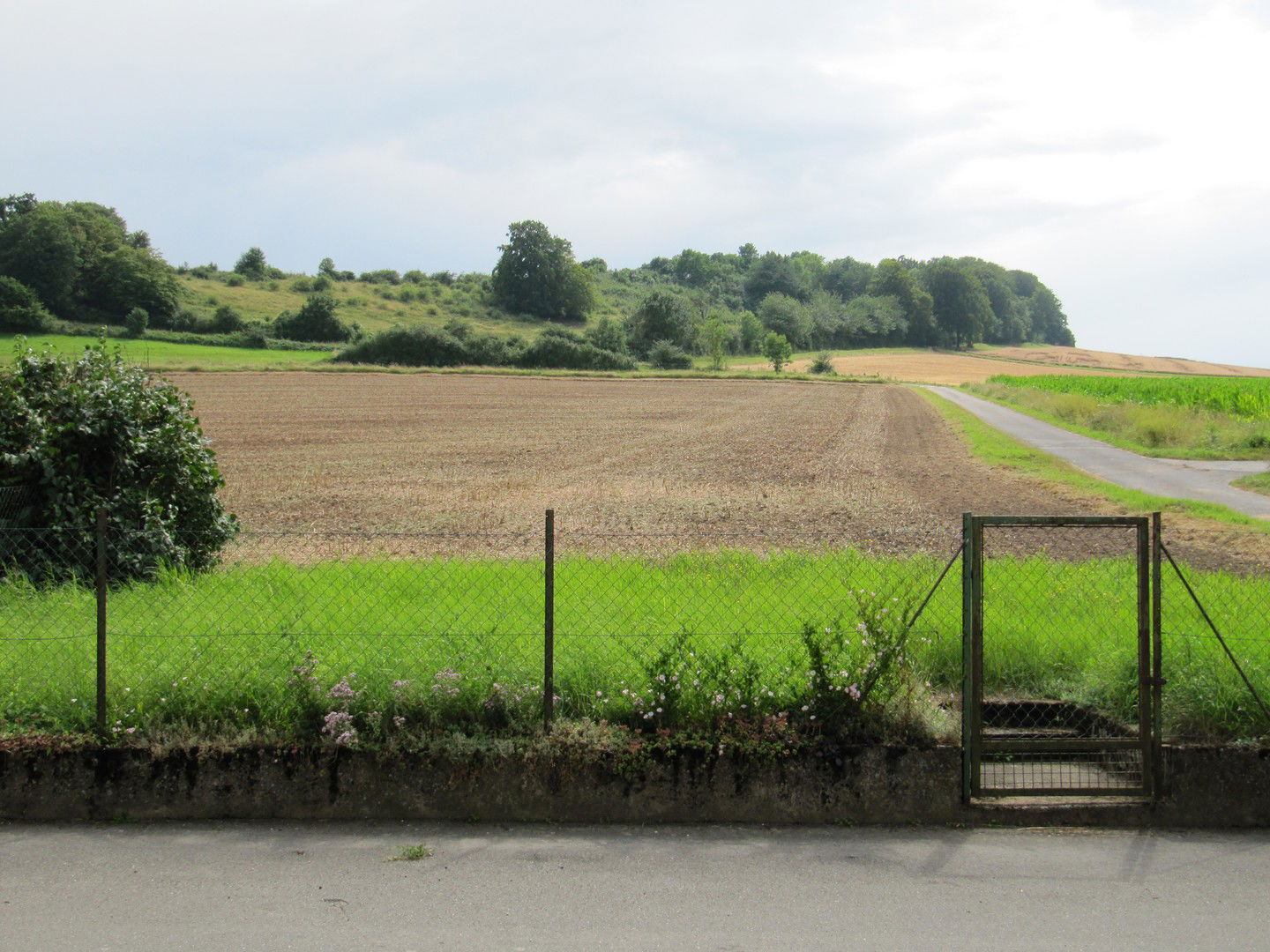 Bild der Immobilie in Moringen Nr. 10