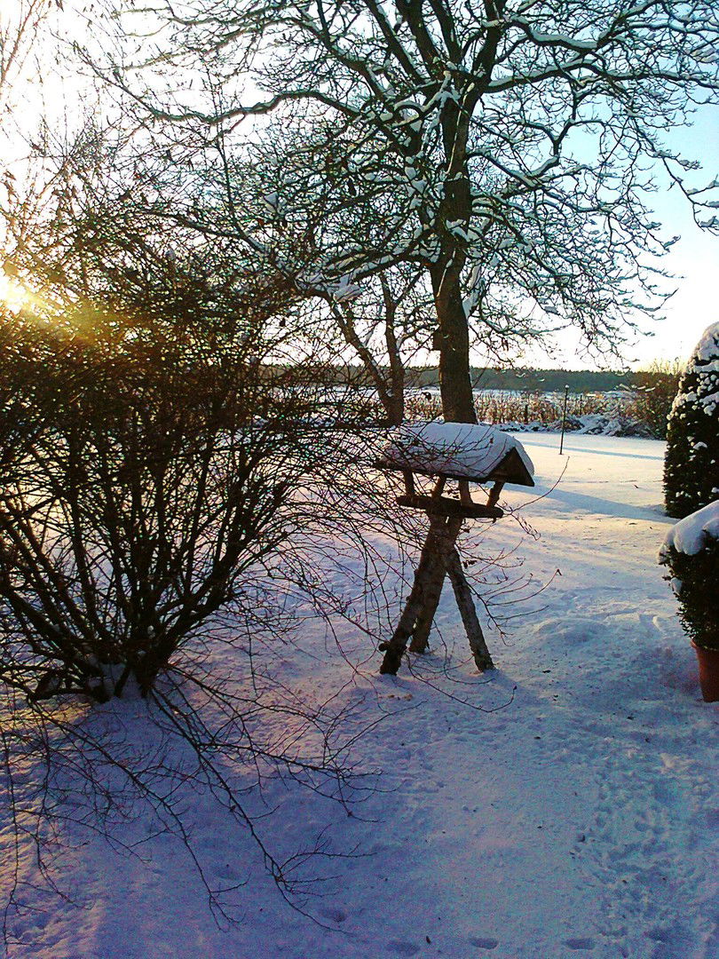 Bild der Immobilie in Geestland Nr. 34