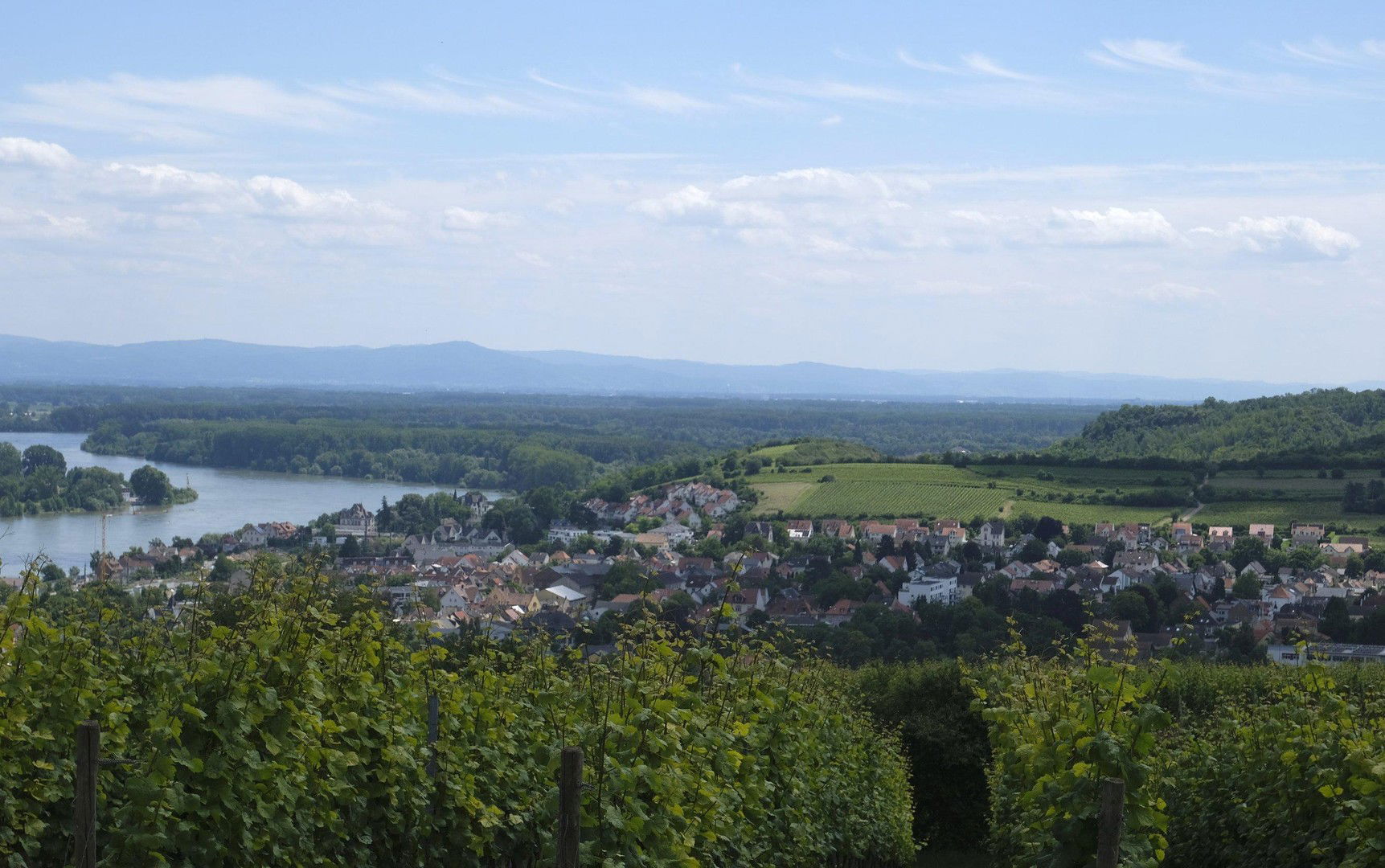 Bild der Immobilie in Nierstein Nr. 32