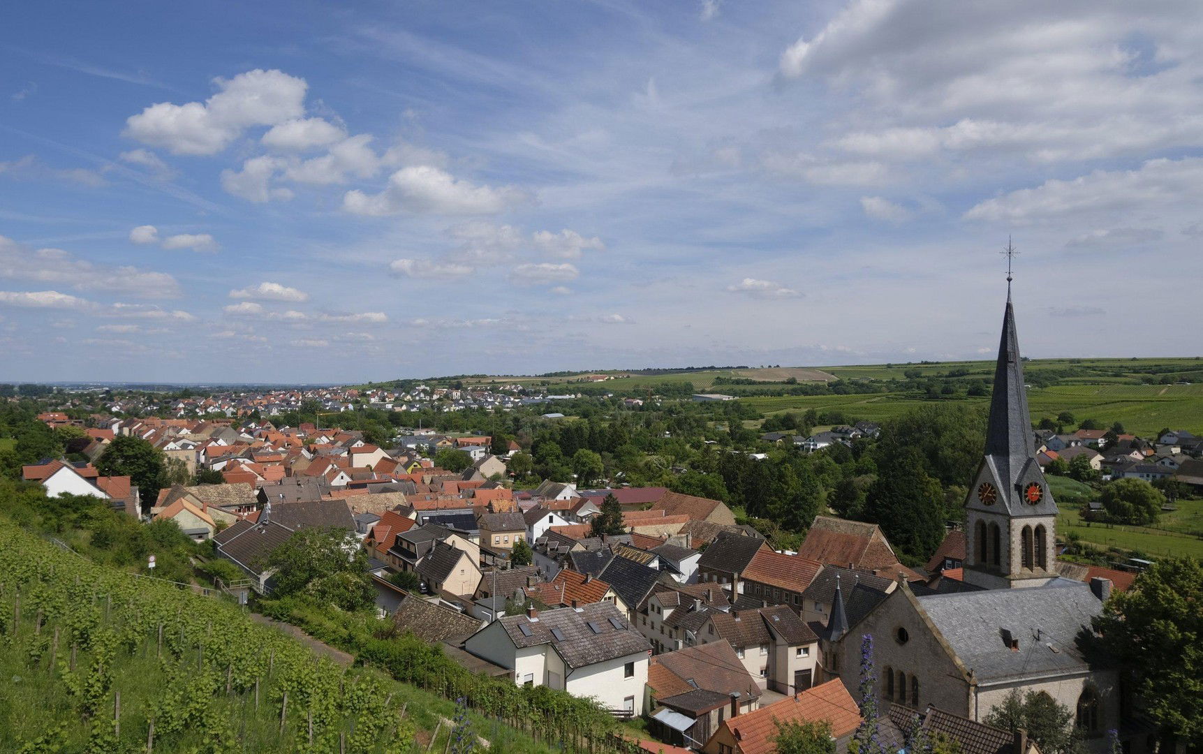 Bild der Immobilie in Nierstein Nr. 34