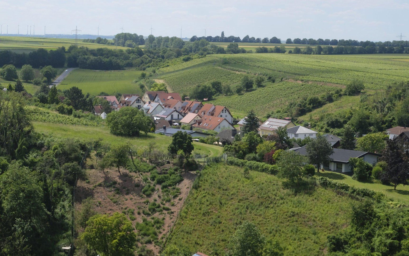 Bild der Immobilie in Nierstein Nr. 35