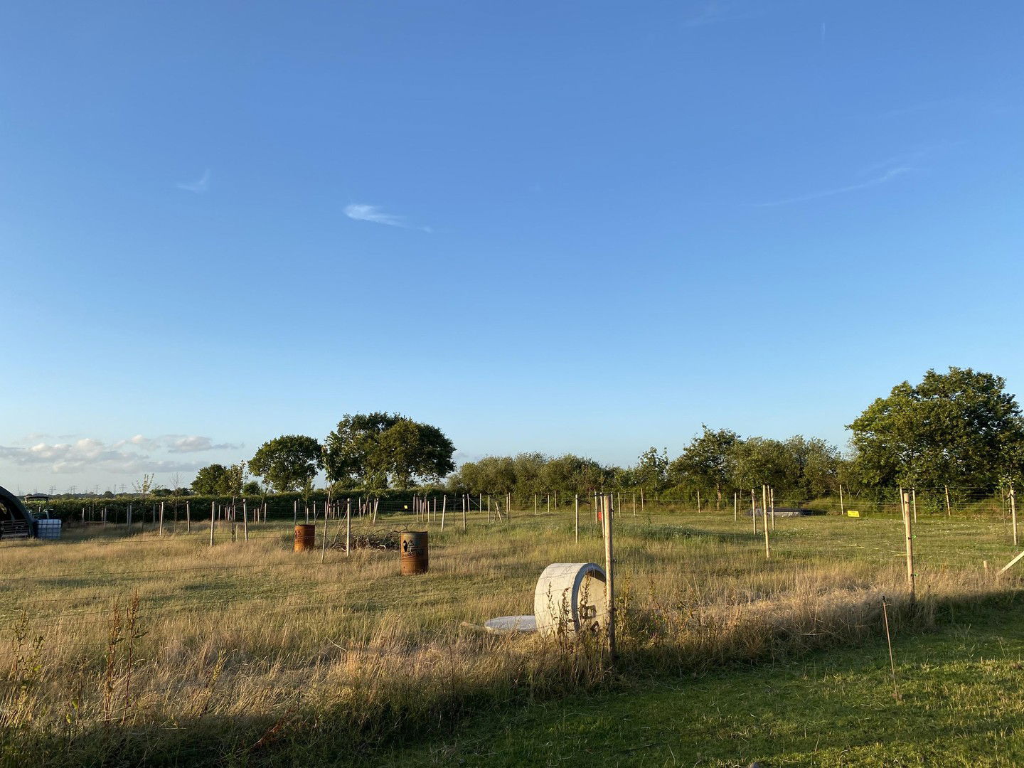 Bild der Immobilie in Groß Rheide Nr. 12