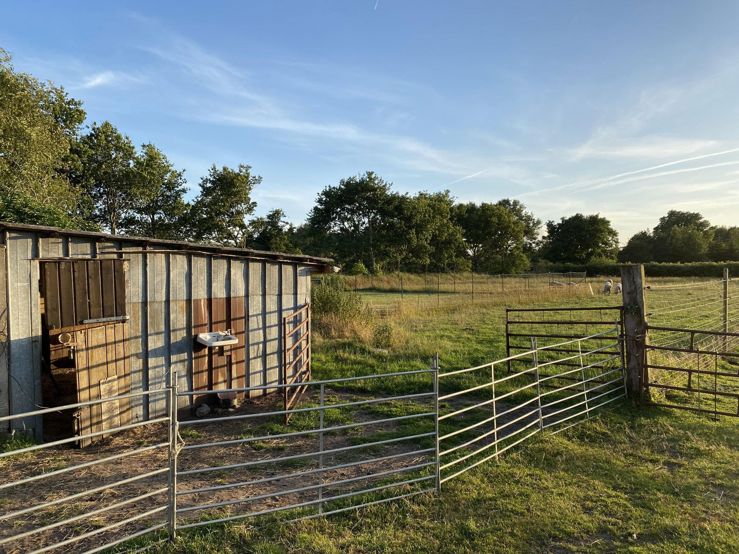 Bild der Immobilie in Groß Rheide Nr. 11