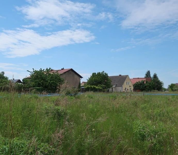 Bild der Immobilie in Wiesenburg/Mark Nr. 1