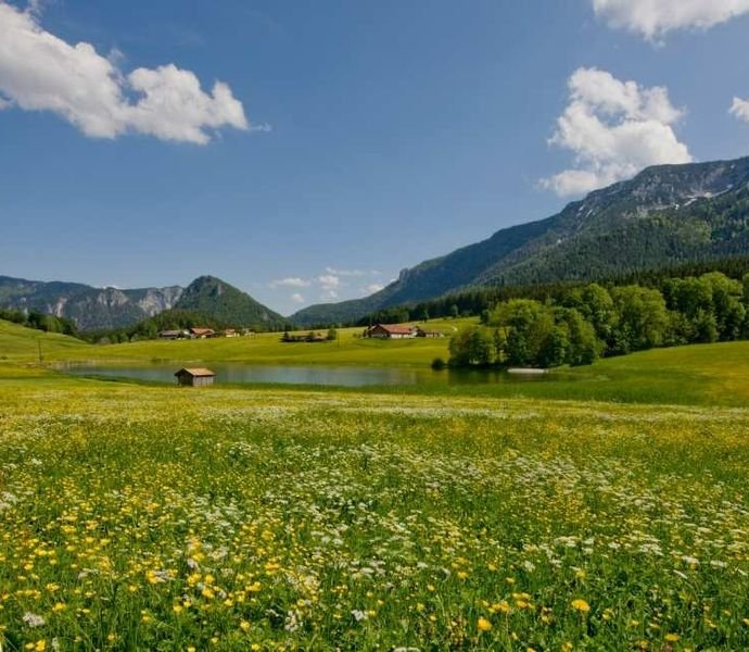 Bild der Immobilie in Ruhpolding Nr. 1