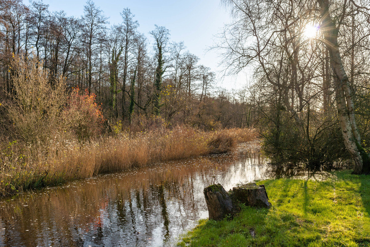 Bild der Immobilie in Harrislee Nr. 1