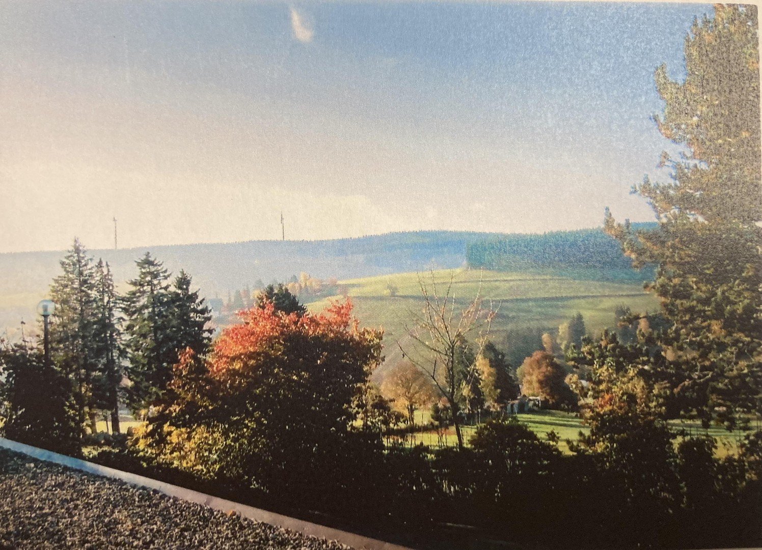 Bild der Immobilie in Schonach im Schwarzwald Nr. 1