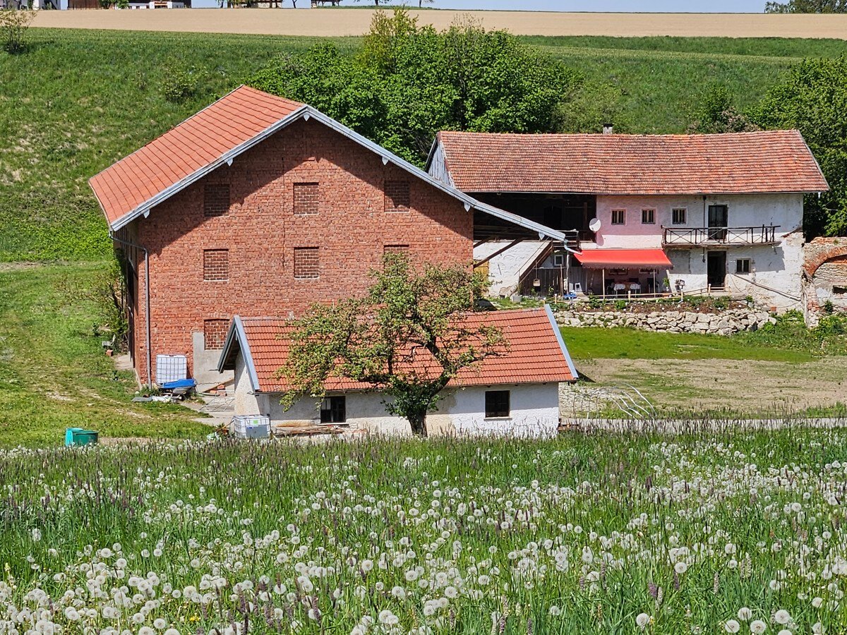 Bild der Immobilie in Kastl Nr. 1