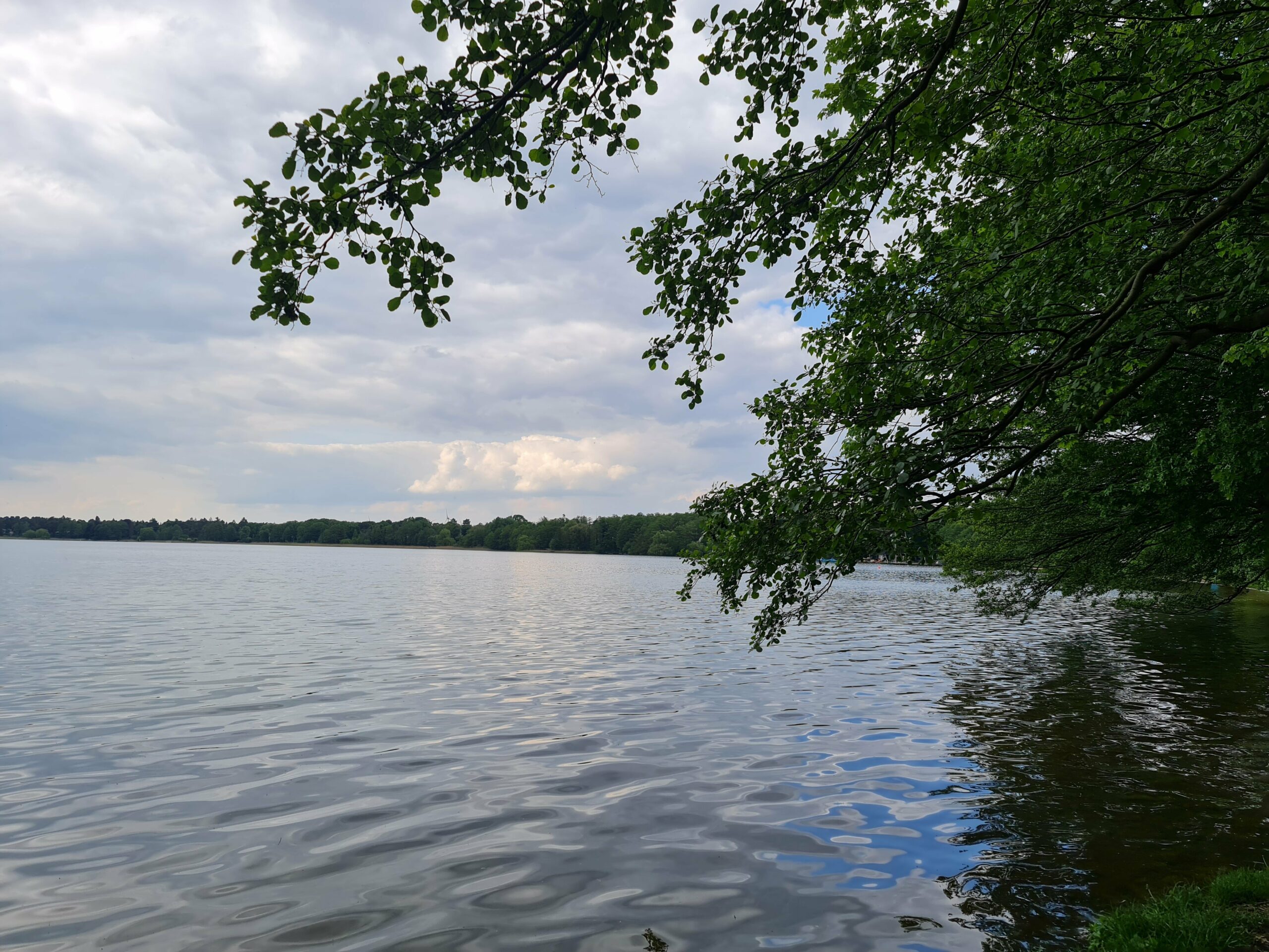 Bild der Immobilie in Wandlitz Nr. 1