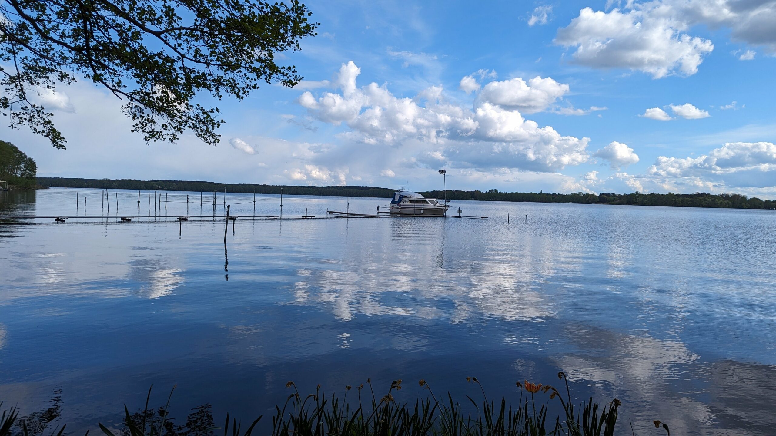 Bild der Immobilie in Schwielochsee Nr. 1