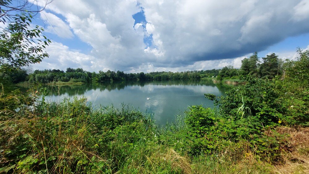 Bild der Immobilie in Großostheim Nr. 1