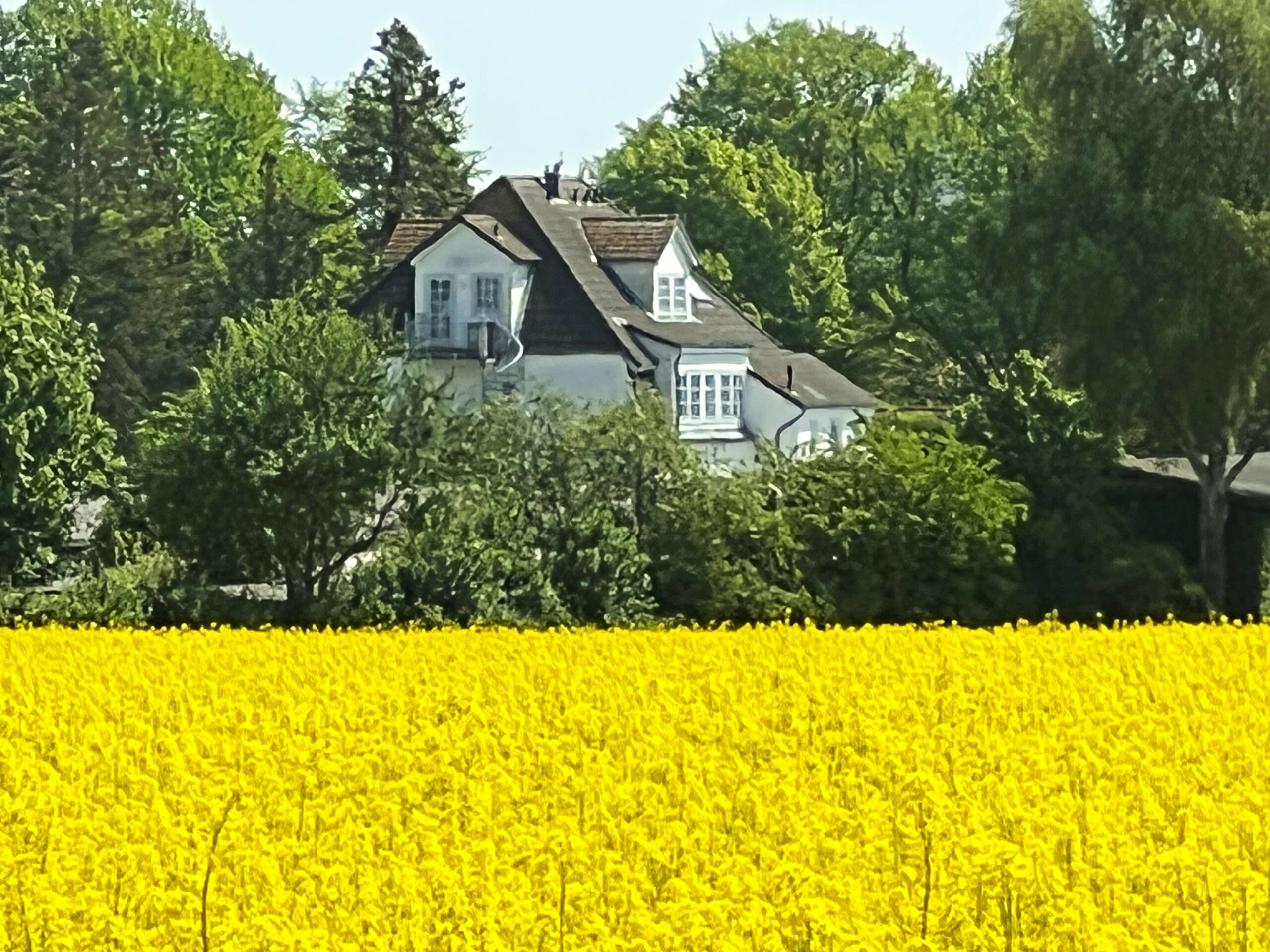 Bild der Immobilie in Dahme Nr. 1