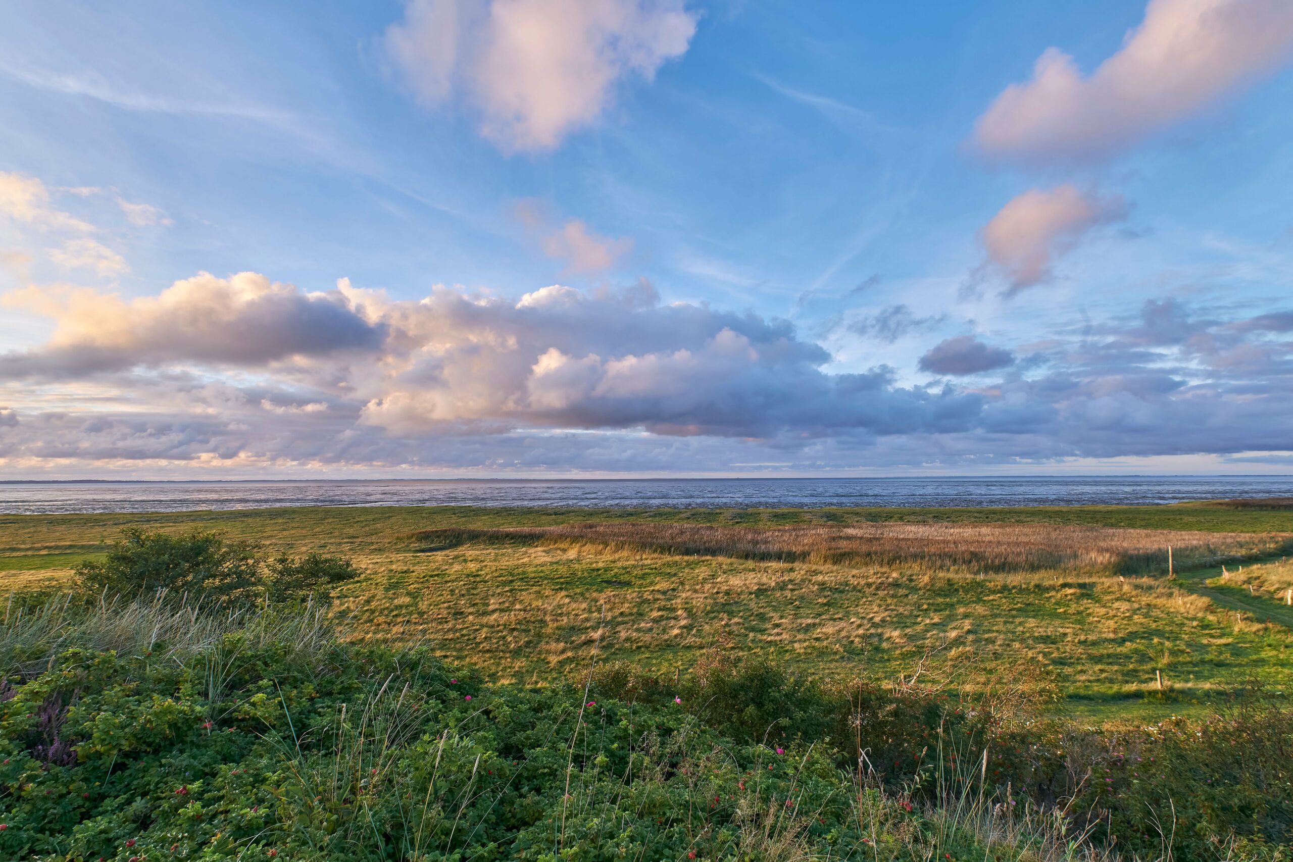 Bild der Immobilie in Sylt Nr. 1