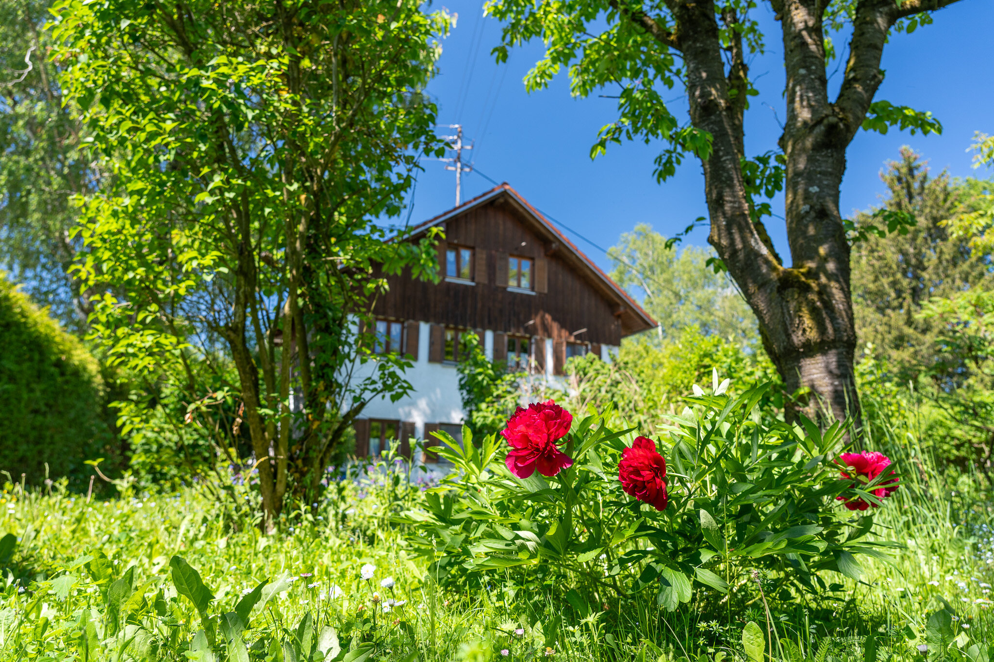 Bild der Immobilie in Erding Nr. 1