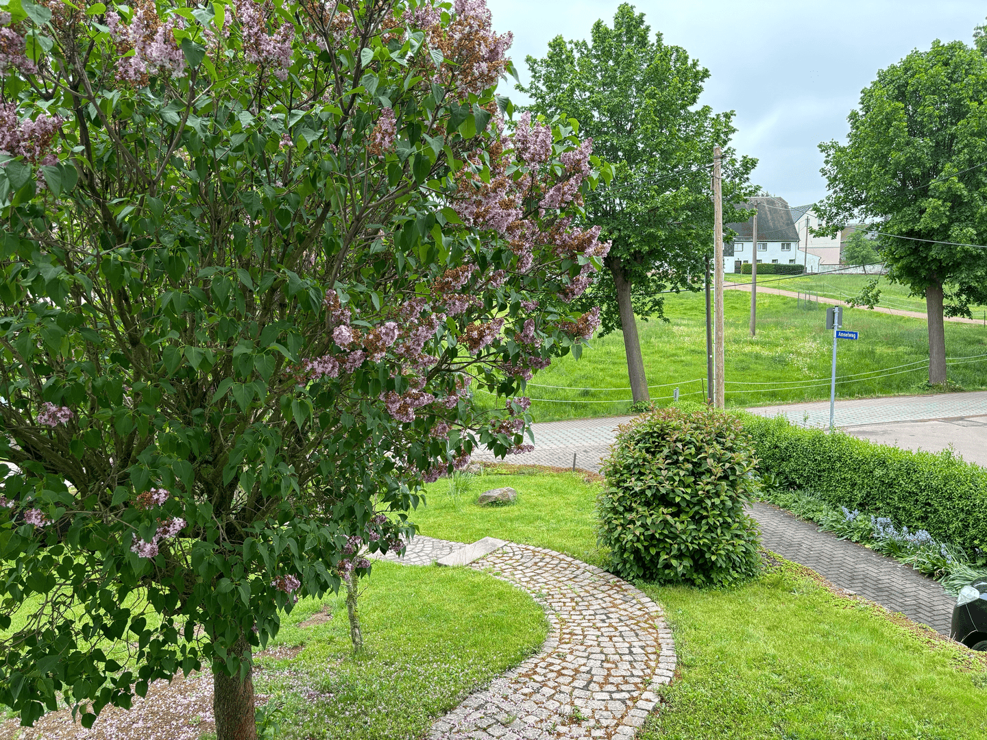 Bild der Immobilie in Altmittweida Nr. 1