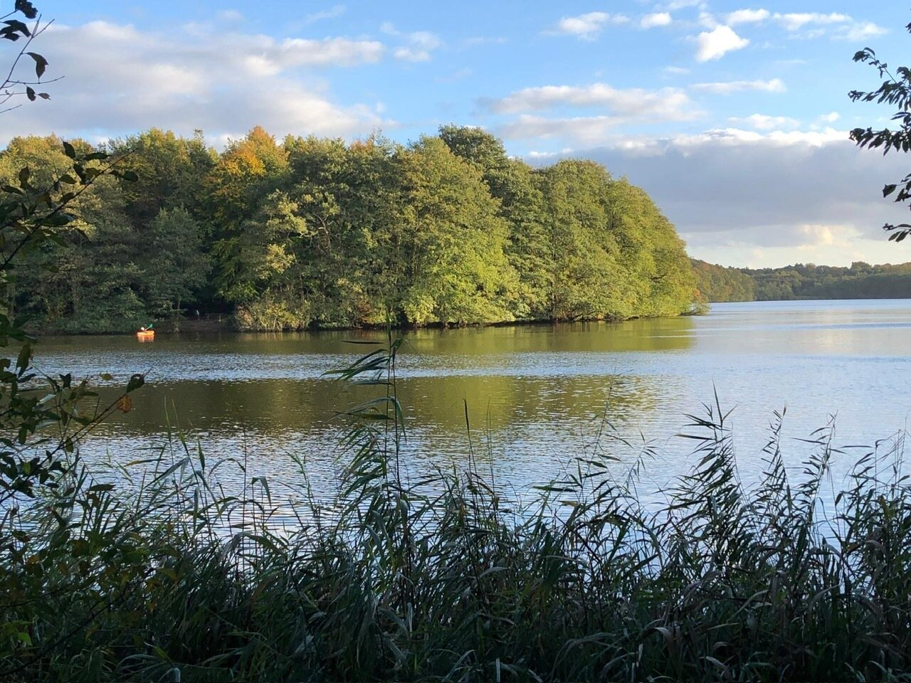 Bild der Immobilie in Lütjensee Nr. 1