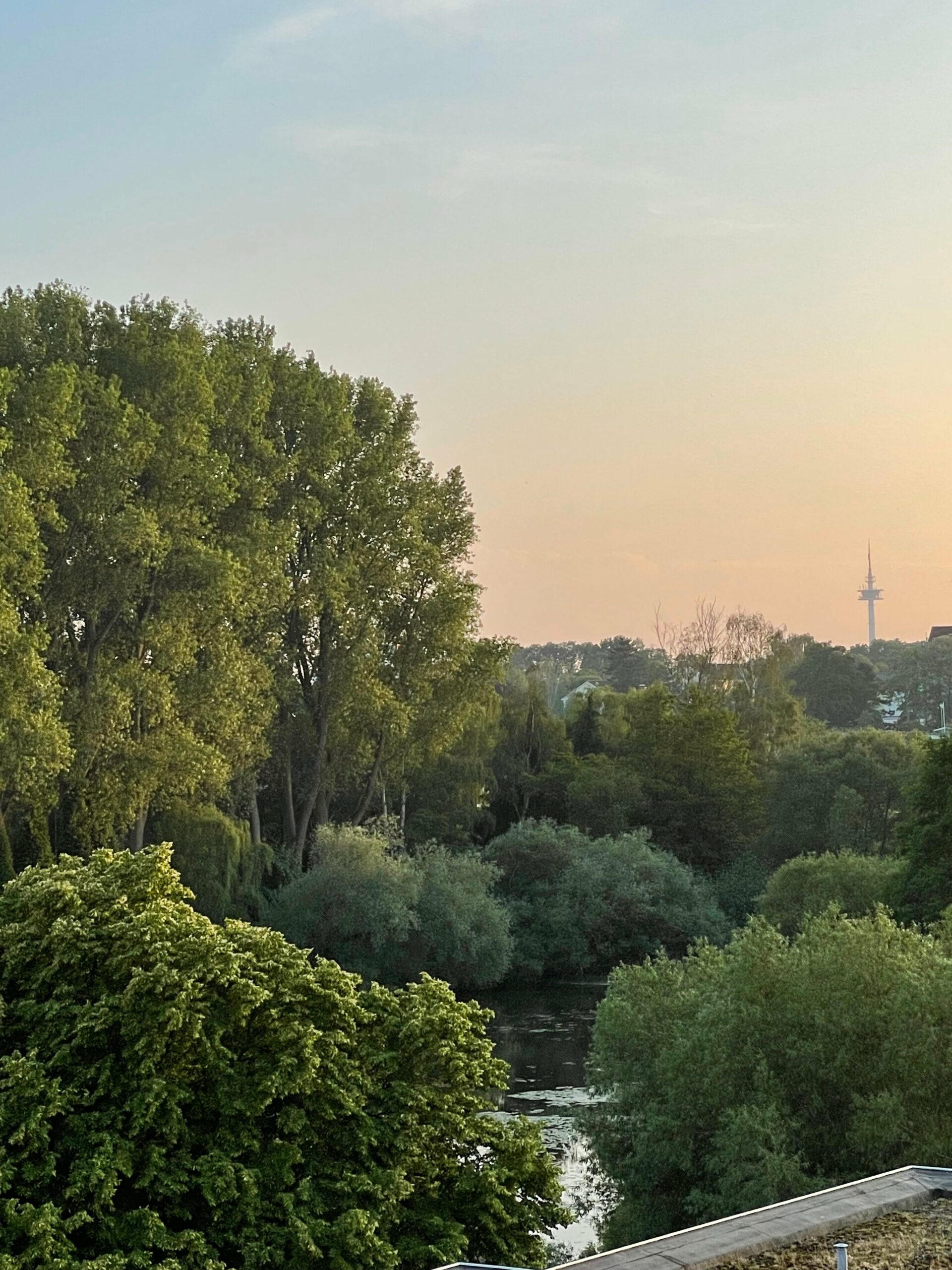 Bild der Immobilie in Bad Schwartau Nr. 1