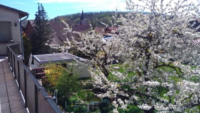 Bild der Immobilie in Herzberg am Harz Nr. 1