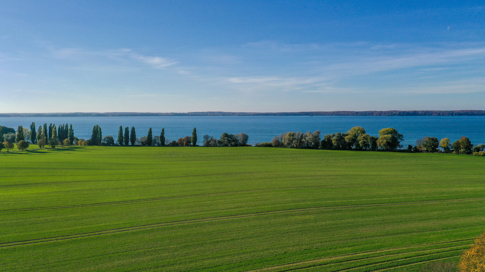 Bild der Immobilie in Dobin am See Nr. 1