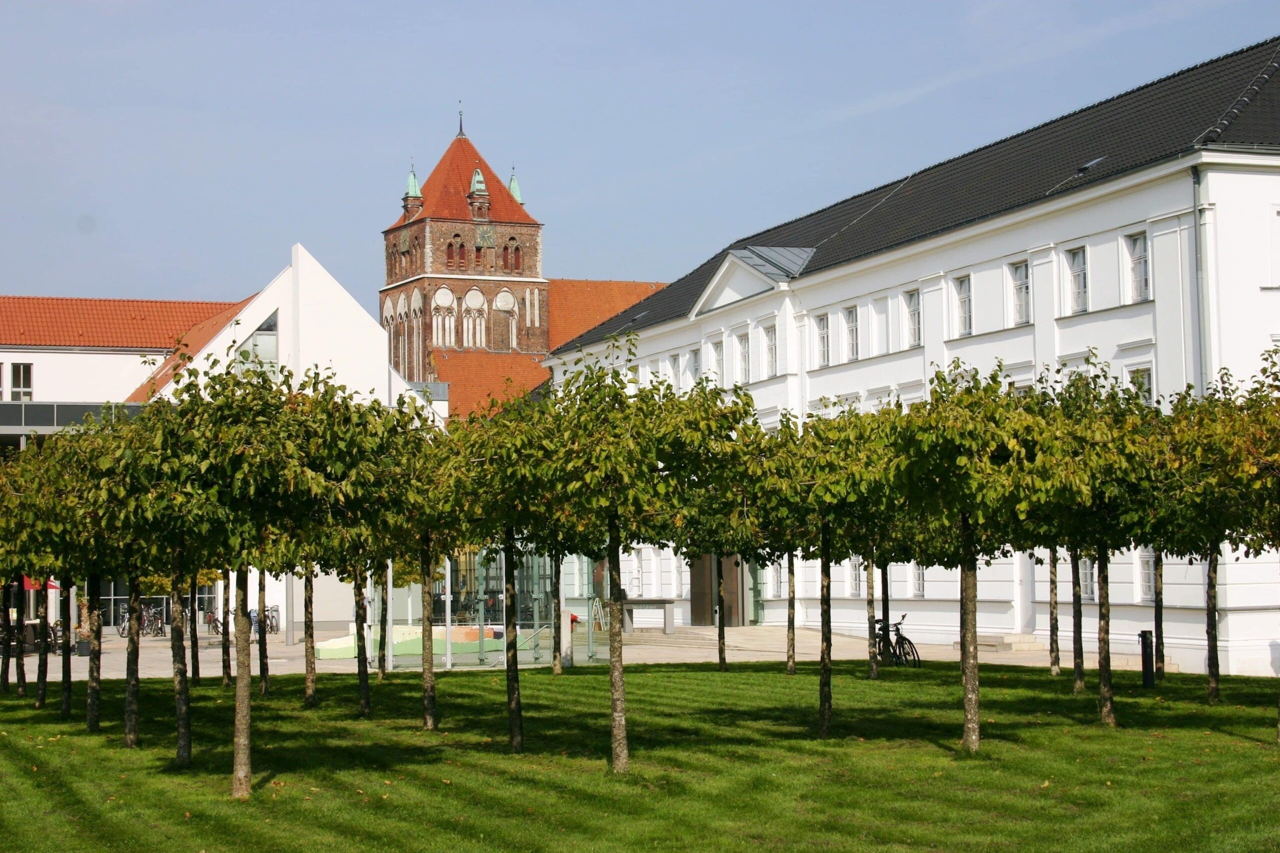 Bild der Immobilie in Greifswald Nr. 1