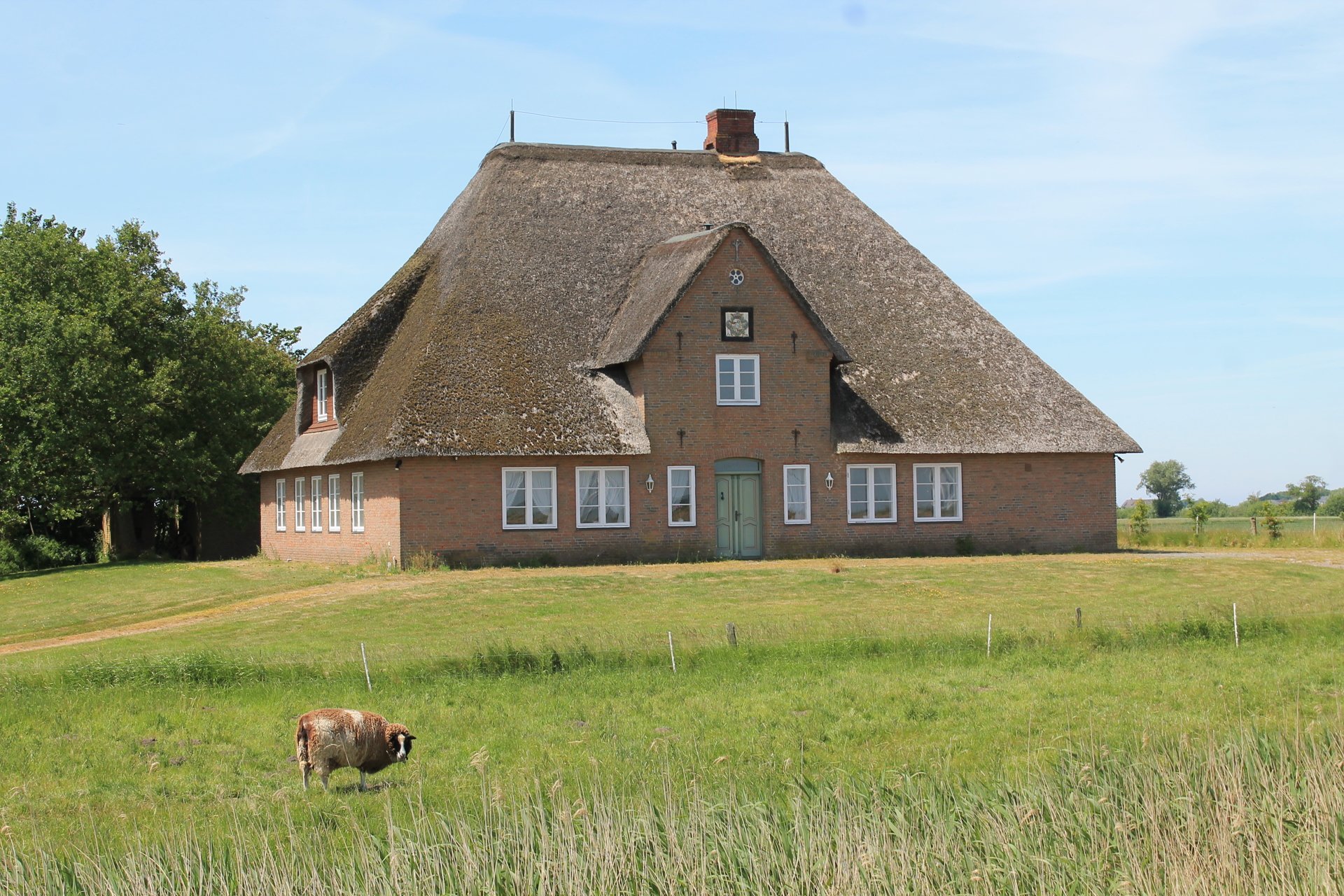 Bild der Immobilie in Galmsbüll Nr. 1