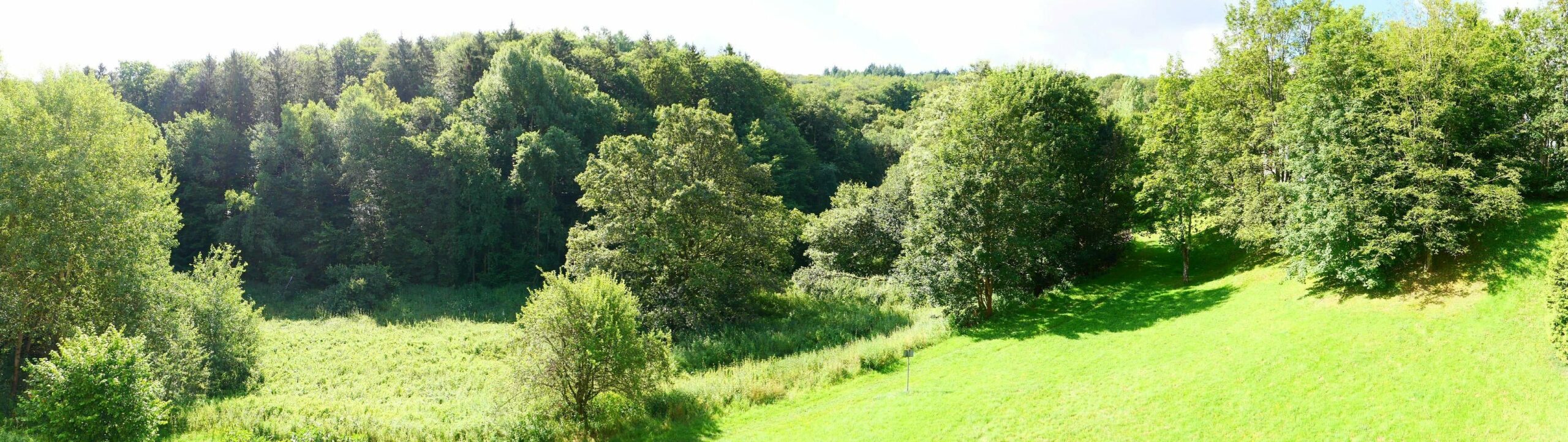 Bild der Immobilie in Eppstein Nr. 1