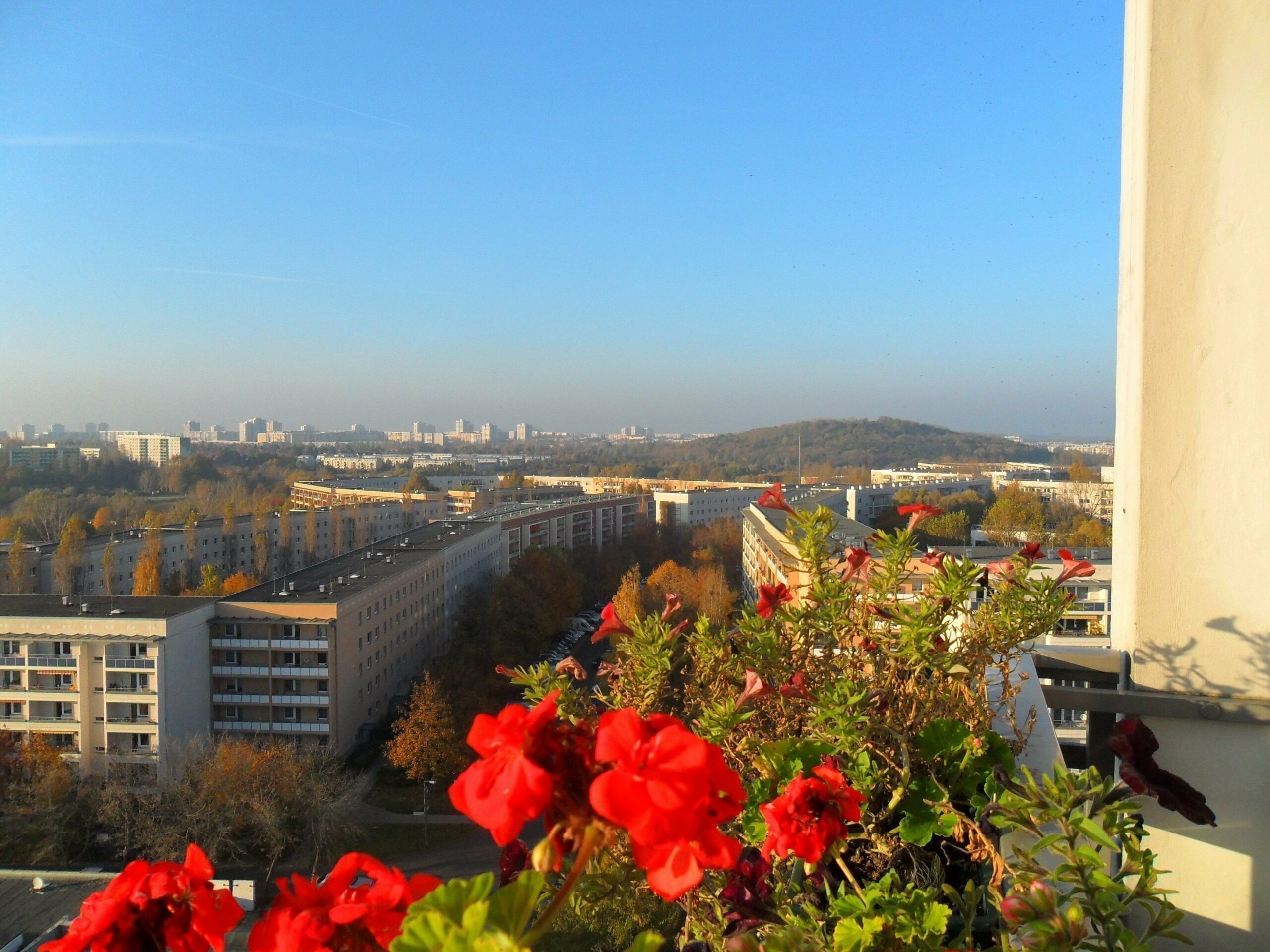 Bild der Immobilie in Berlin Nr. 1