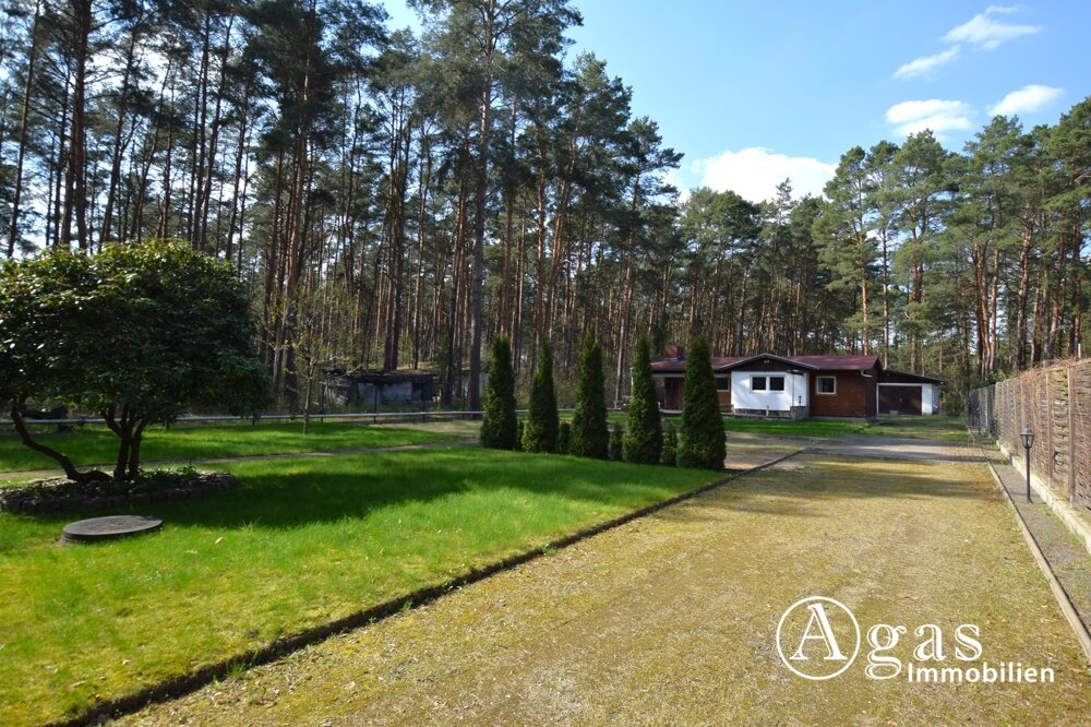 Bild der Immobilie in Borkheide Nr. 1