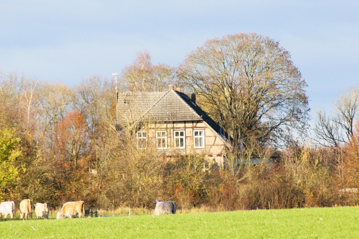 Bild der Immobilie in Walkendorf Nr. 1