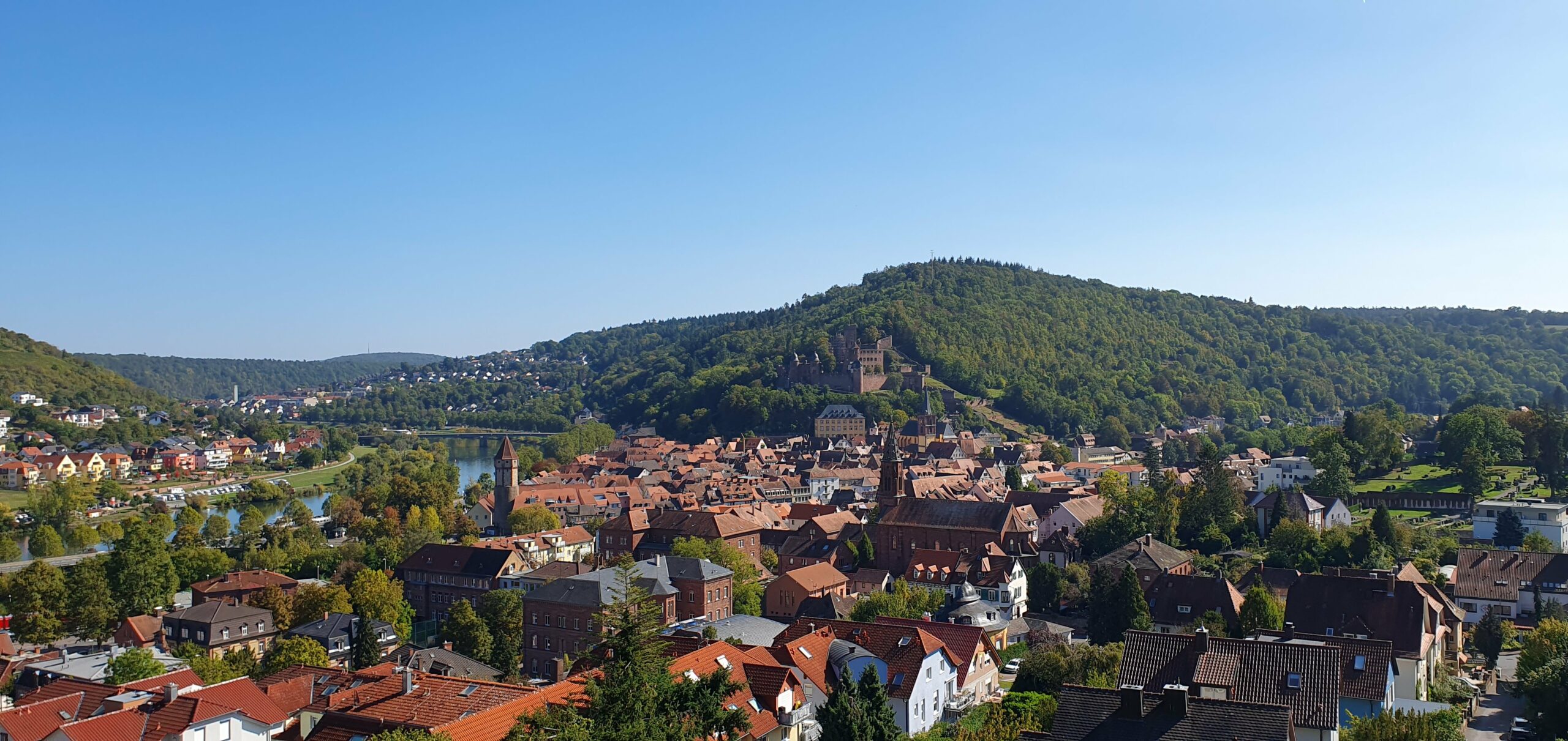 Bild der Immobilie in Wertheim Nr. 1