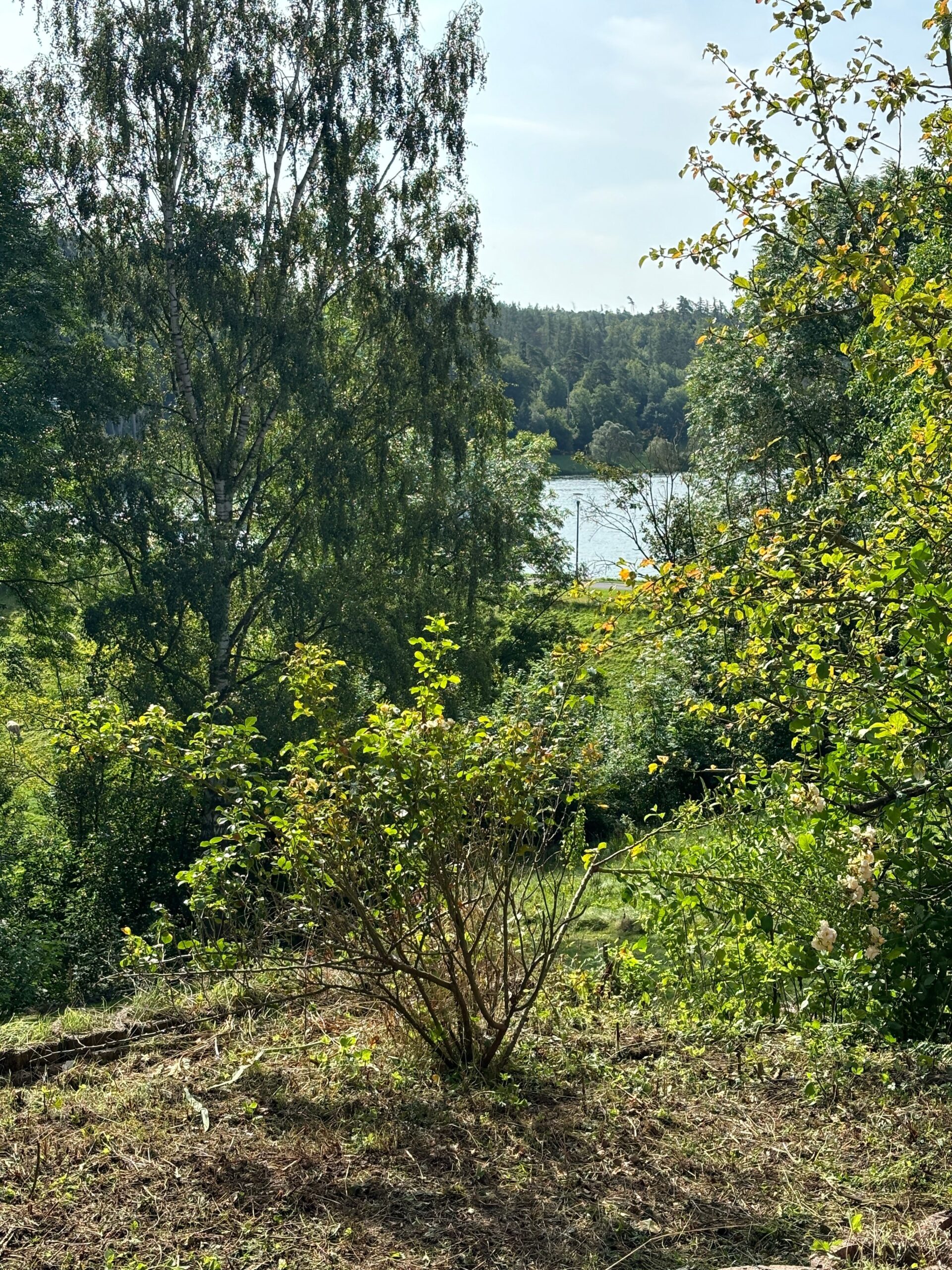 Bild der Immobilie in Bad Arolsen Nr. 1