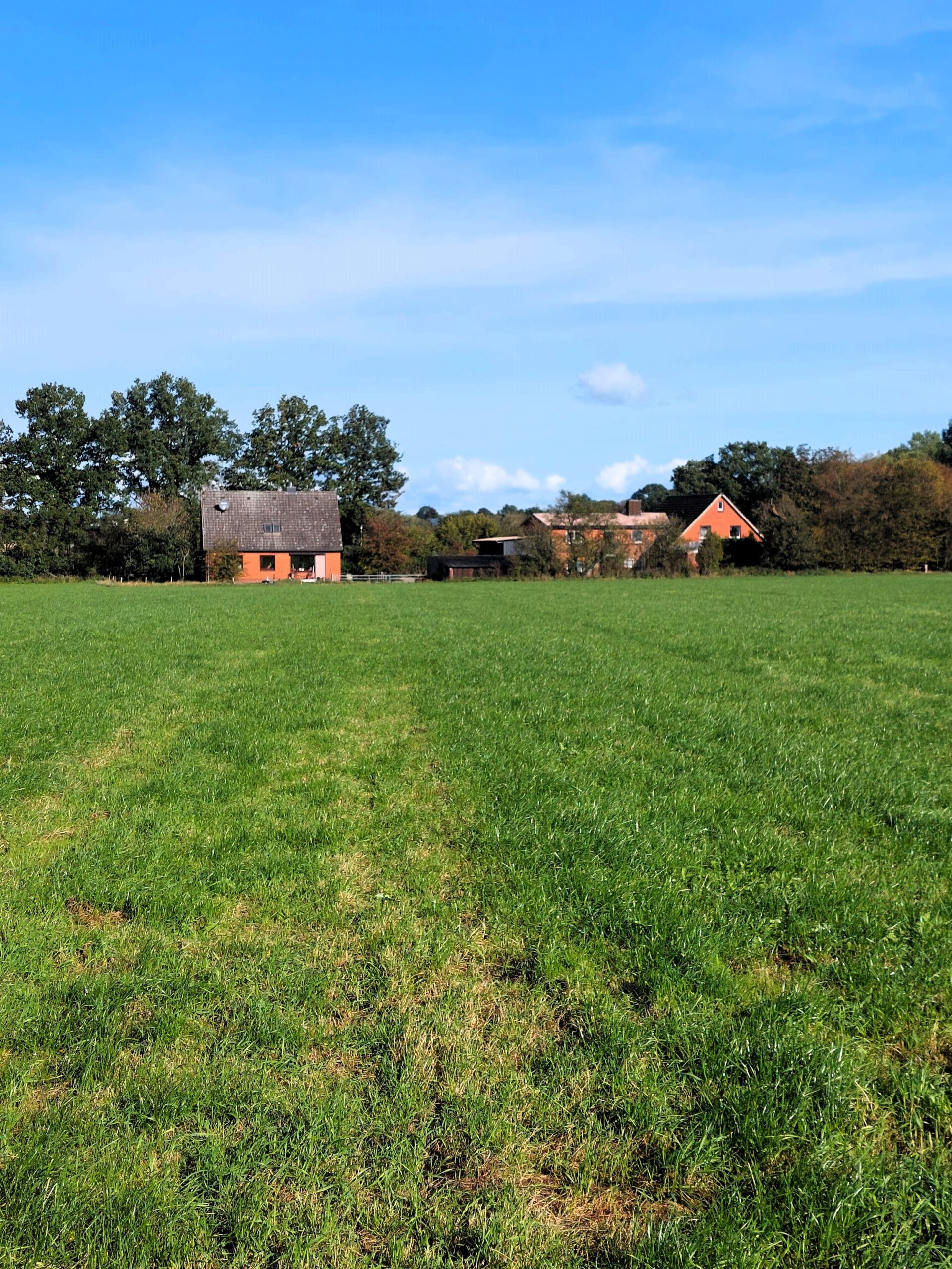 Bild der Immobilie in Bargfeld-Stegen Nr. 1