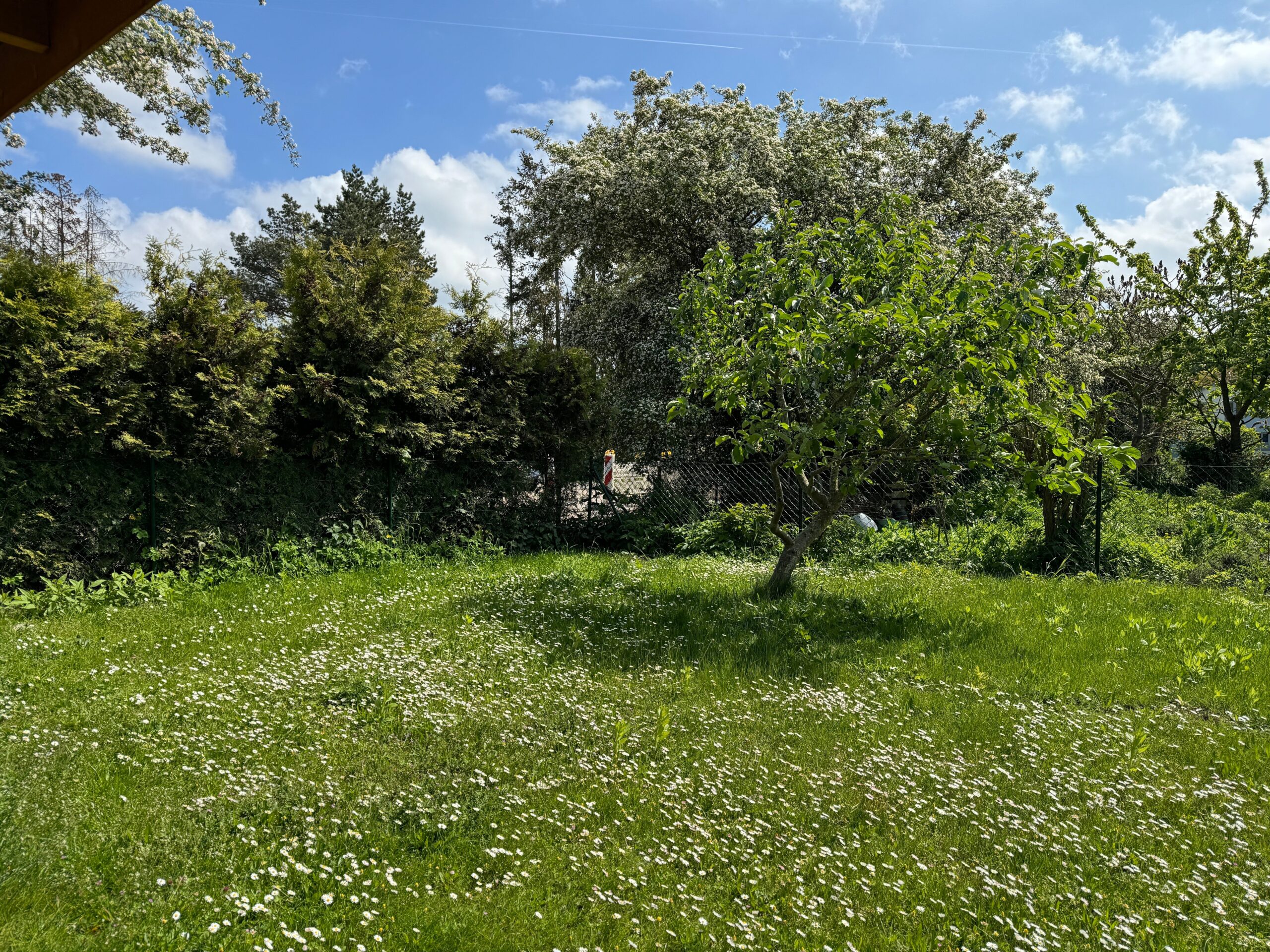 Bild der Immobilie in Neuenkirchen Nr. 1