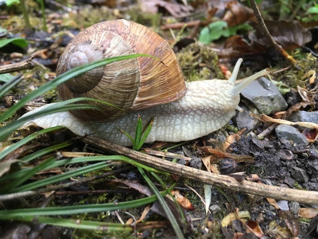 Bild der Immobilie in Tauberbischofsheim Nr. 1