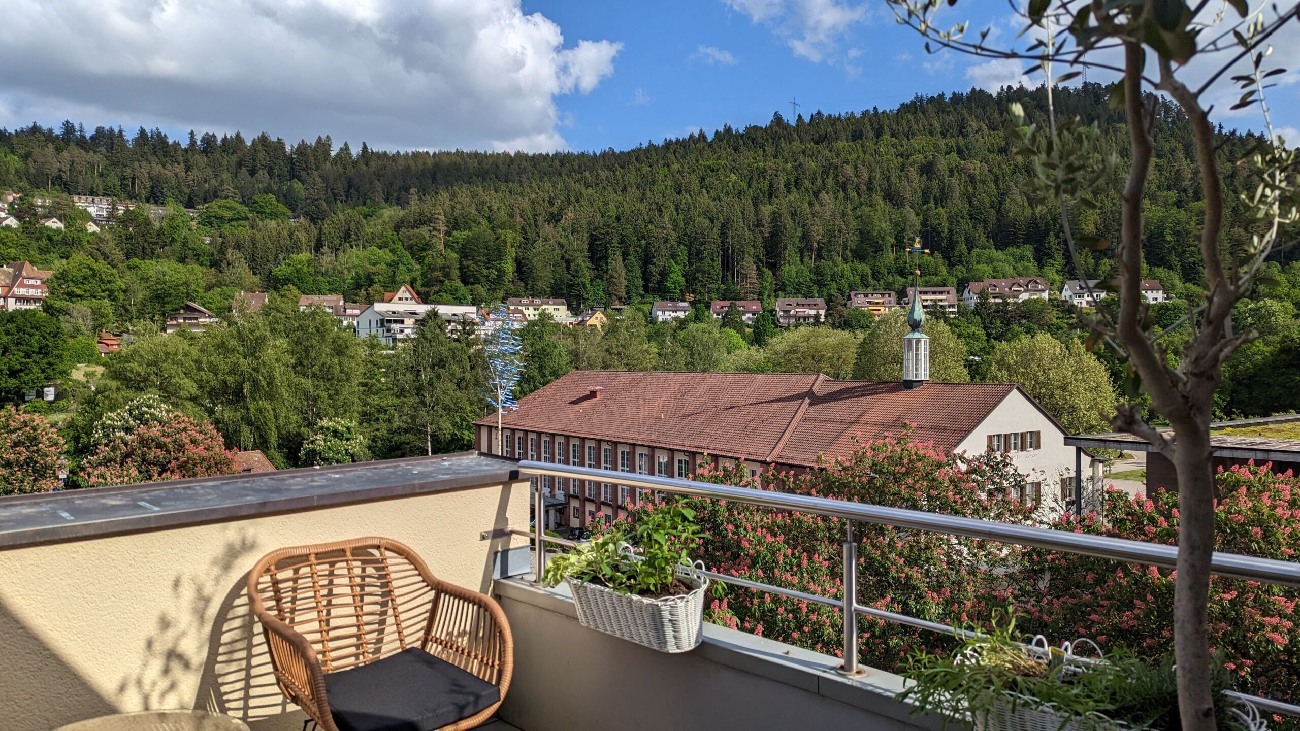 Bild der Immobilie in Bad Liebenzell Nr. 1